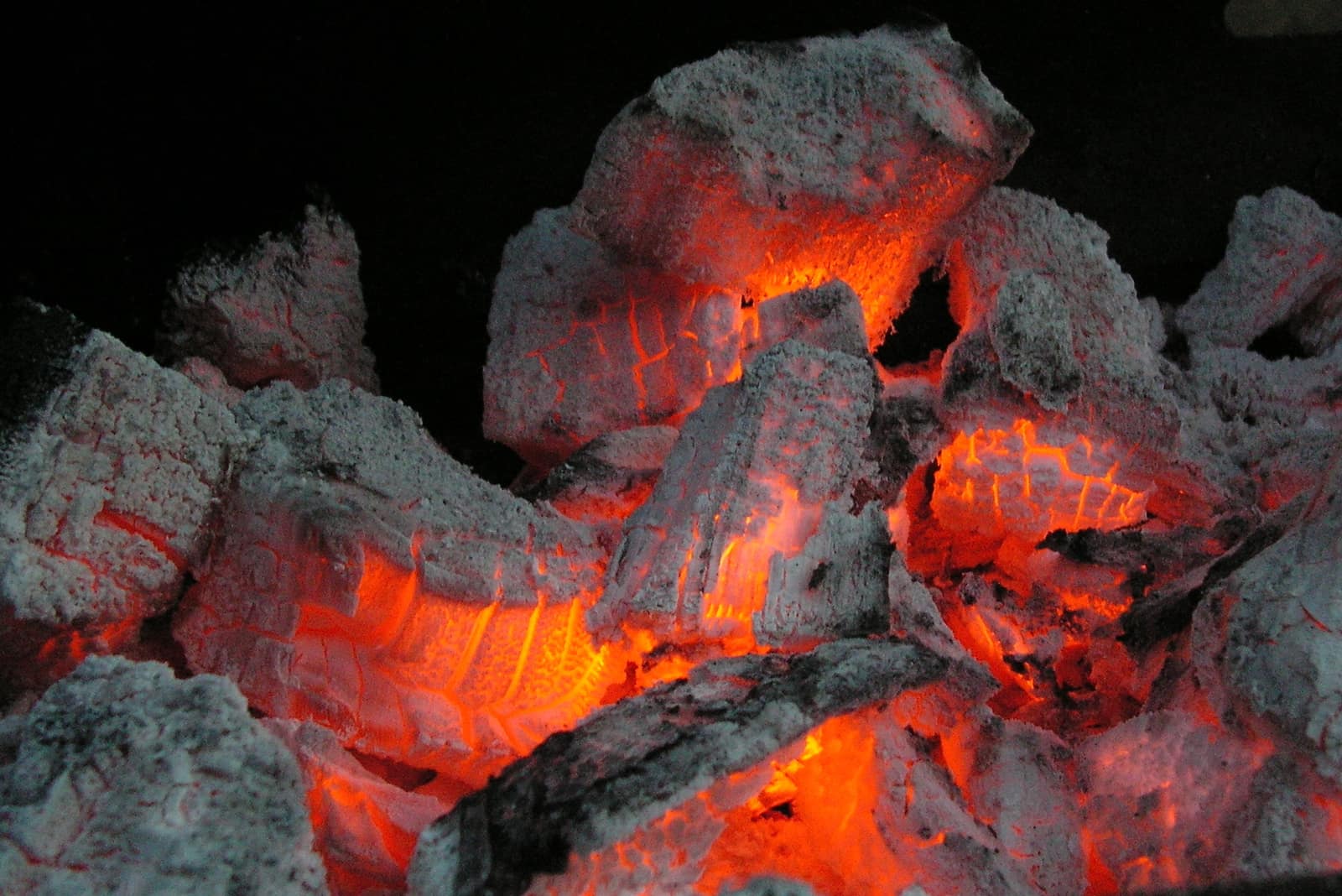 Braises de bois d'olivier rougeoyantes sous la cendre blanche